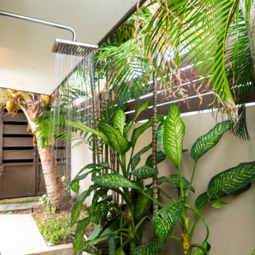Refreshing outdoor rain shower surrounded by lush tropical plants and privacy screen—perfect after a swim