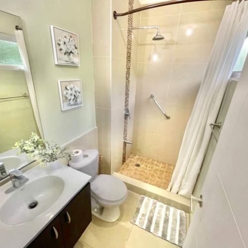 Bathroom with vanity sink, toilet and walk-in shower featuring mosaic-tiled floor, rainfall shower head, window and decorative wall art
