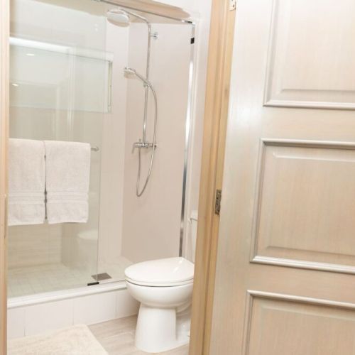 Bathroom with glass-enclosed shower, rainfall shower head and modern toilet